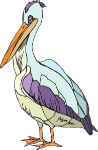Pelican PNG-46581